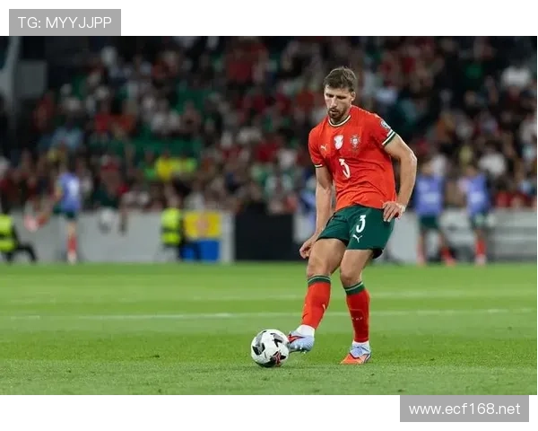 鲁本·迪亚斯：长期稳定输出的顶级中卫解析