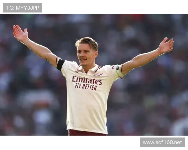 厄德高是否仅适配特定战术体系