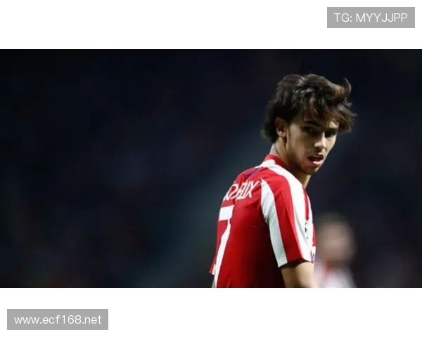 菲利克斯金童奖含金量分析