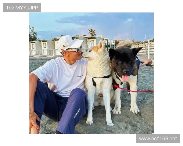 迪巴拉家的狗都吃有机牛排了