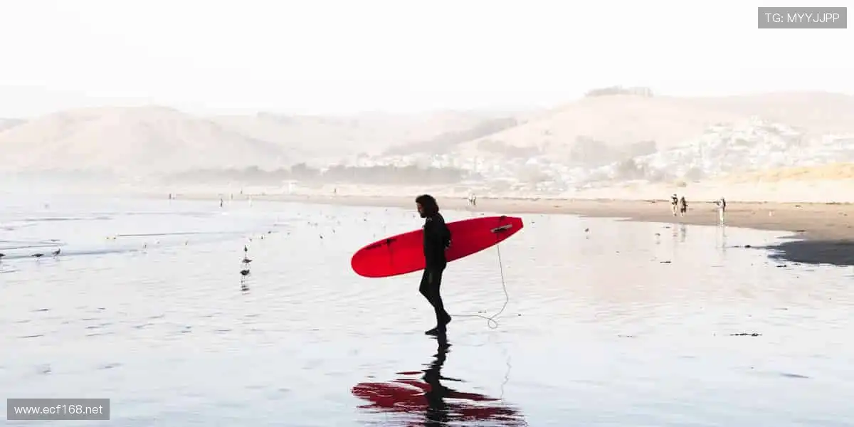 🌟 赛事策划，专业打造专属体育盛宴！